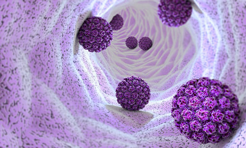 Virus del papiloma humano (VPH)